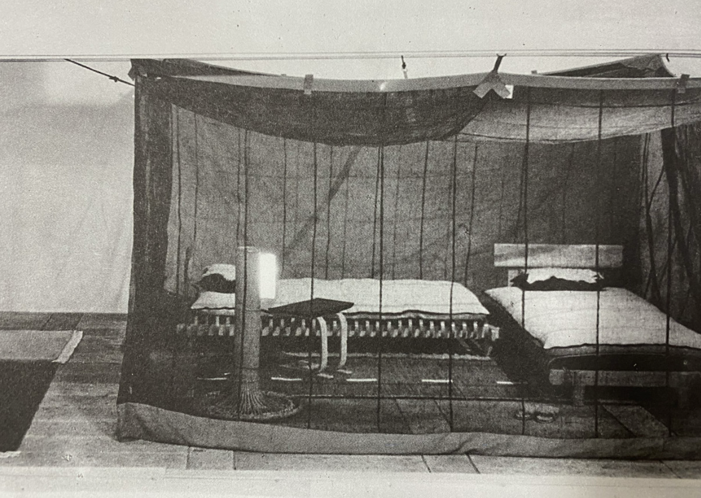 Night solarium
